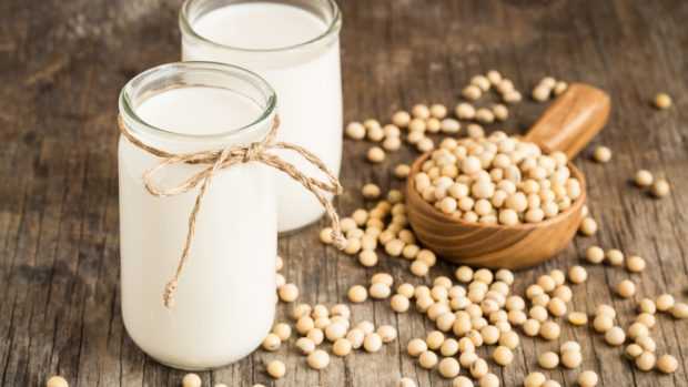 Mayonesa de leche de soya